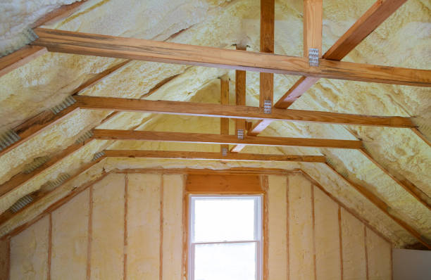 Best Insulation Maintenance and Repair in Smithville, MO