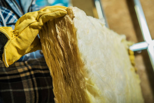 Best Commercial Insulation in Smithville, MO