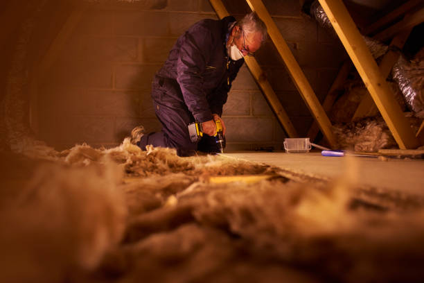 Professional Insulation Contractor in MO